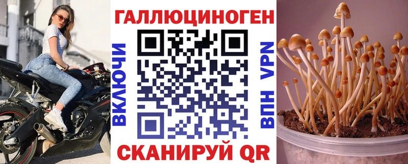 Галлюциногенные грибы Cubensis  Хасавюрт 